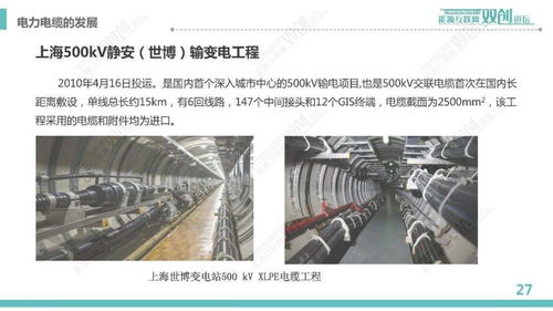 中国电科院 阎孟昆 电力电缆的发展及产品质量分析